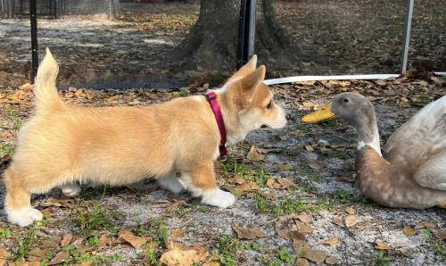 27176360 3da1a8e7a5f6d09c9de13560fbd7b56b xl