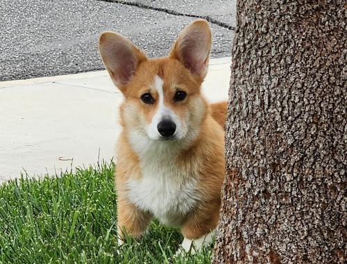 27191862 8e4f864d3b5c5e9bc28a13931f4c9ef7 xl