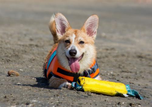 27225216 d089e2335d63c11e3199401438e960a0 xl