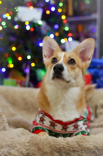 27268998 0a6f00da3b35f781b21e2f8e4ea94bc2 xl