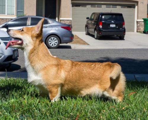 372905449 225154847193841 8802502753134451662 n