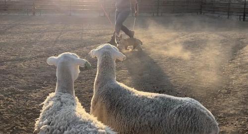 372973329 225151640527495 8304606365141028523 n