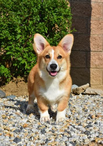 373562033 225146410528018 1248228366818737161 n