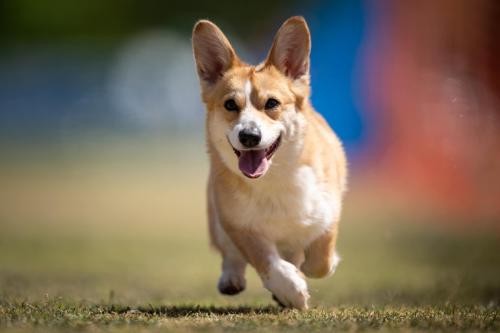 447895068 394432493599408 4357116943439534494 n