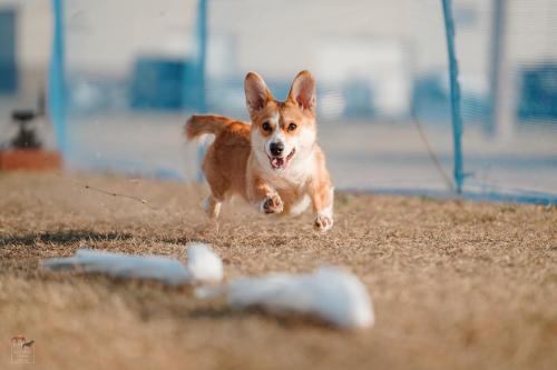 462934257 483672448008745 6297654103339588909 n