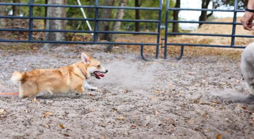 470234605 529236583452331 568314253404991935 n