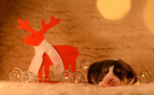 27145636 5083baccfd97dea20e56afa0ff810245 xl