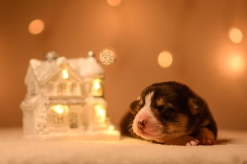 27146804 e55c423f824973b96730832003f8adc9 xl