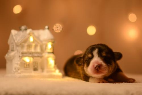 27146806 2e42882c2d1814ae69a2c1ca384dea27 xl