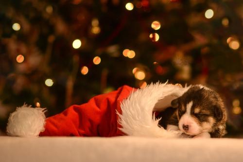 27147988 43b8f9179e96dc32cf58d8efe424b6a3 xl