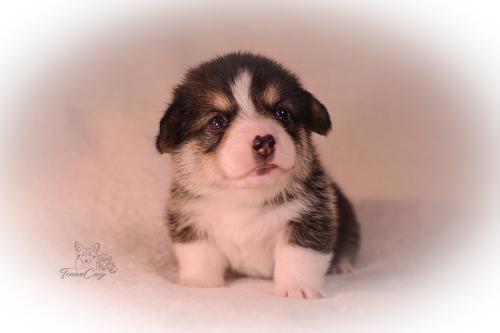 27155264 a54af1dfd45d526d2cb9fa1ab48a26ee xl