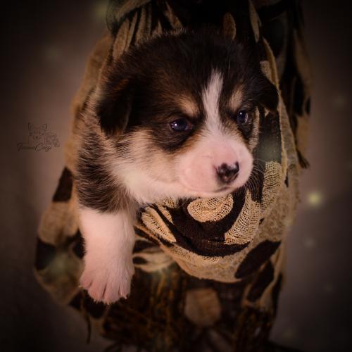 27155266 9a4b696639447a81ce06ccb1de777f27 xl