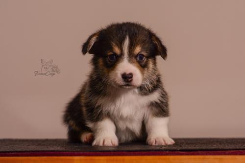 27155488 cc551f146b72f51a840a6362a1adaba8 xl