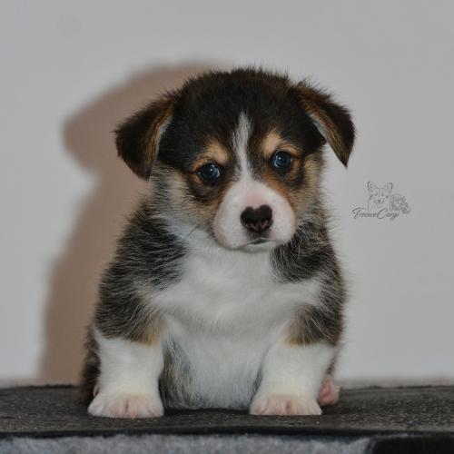 27159938 5807a919fc9120fb36c4c59635ed6967 xl