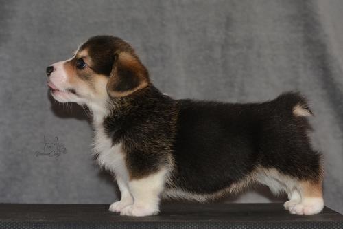 27160118 171bd83ae78fd7168717c0e5d2386151 xl