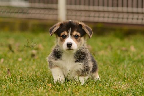 27160274 162a7a4fedba41a4049b4b5f5fc70aa0 xl