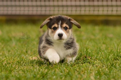 27160278 50d10f3656897486dd98ea71107e3ffb xl