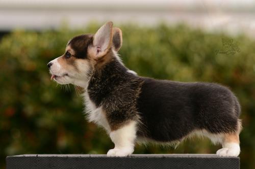 27162498 4de47931c582d0d0d49558f74f1fc6bd xl