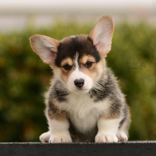 27162500 7f0dc51a8501f6e8f7d93eb07f06ce49 xl