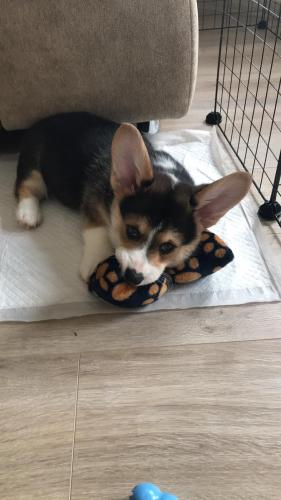 27167296 b4a2dd5221031d8b611138477aabf48a xl