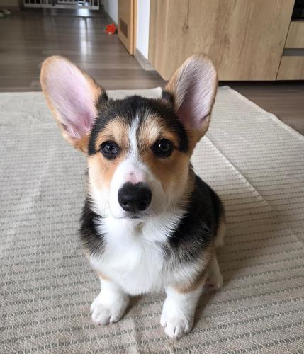 27176340 e55a7cd14abdcba8e6016b3537f8e039 xl