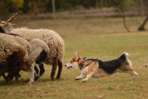 27252282 f5ee3c225efa051a1335ba43582284ee xl