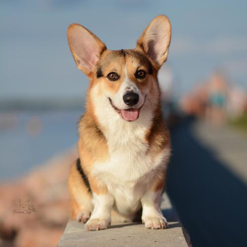 27252284 67787ce84c6759274a0a9b62da334319 xl