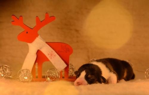 27145638 61a190fb3dac457de60768d558c54aa7 xl