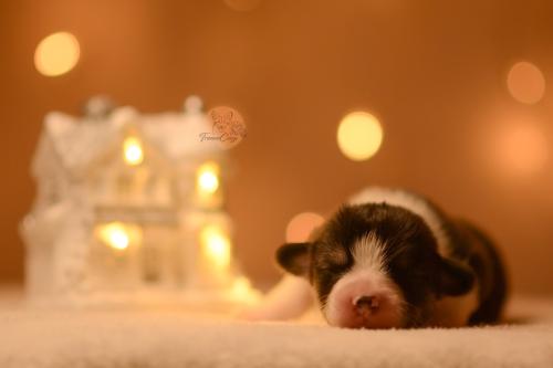 27146802 6f27338ef3a4fd872464c6149fab9ef1 xl