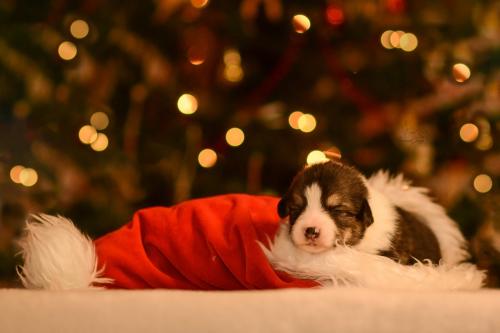 27147990 ec86fa3570d6d7a5132df2da892704dd xl