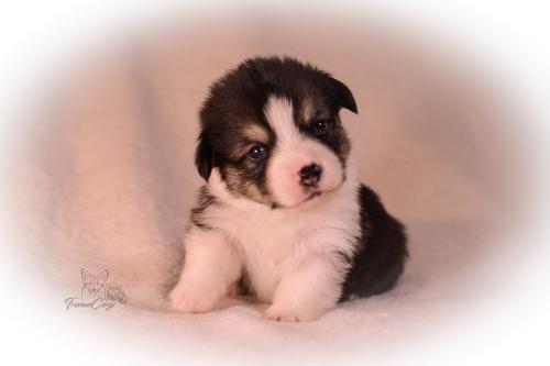 27155256 64c78a93fe9360ea9bbd1f07c5e9b3e6 xl