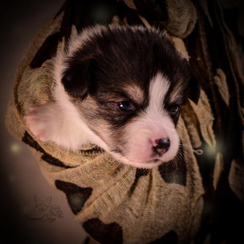 27155262 79c3e5004fa93d2041e298a7f338e935 xl