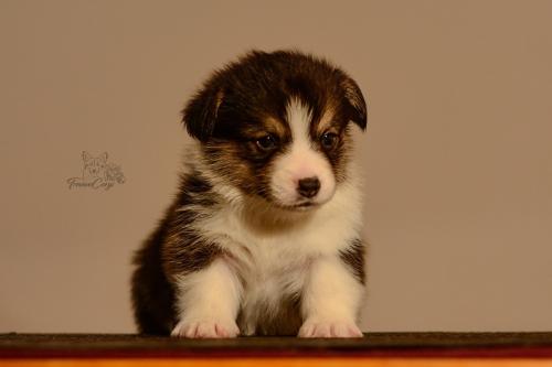 27155484 4318f561e0e0ed0ad2d85e50d123c98c xl