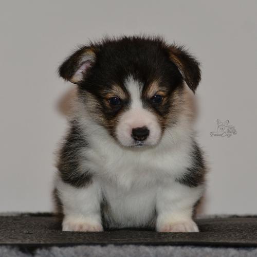 27159946 954e4ba1c17d91a3ef6bfbbfbbc96ae1 xl