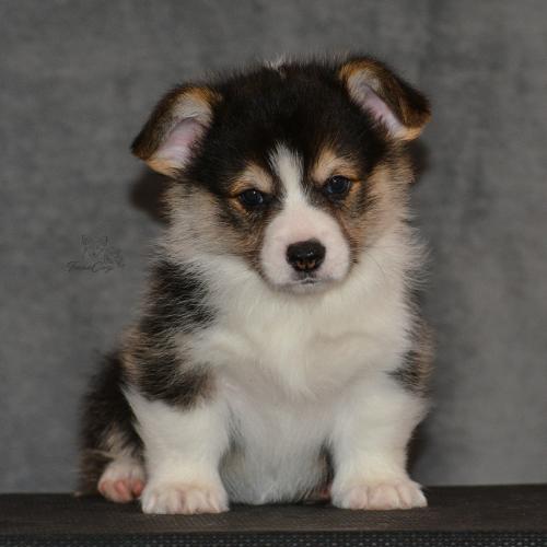 27160116 d13055ee2024df47f98da4c786ca065a xl