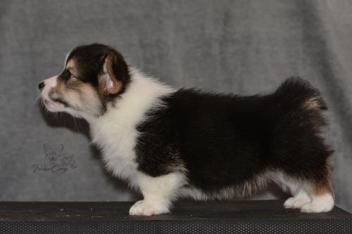 27160120 60ca226cf46fc1cafe54992e2e5d8318 xl