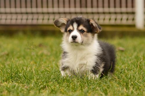 27160348 c8589993a52f7c7860b588d7f0c99fd6 xl