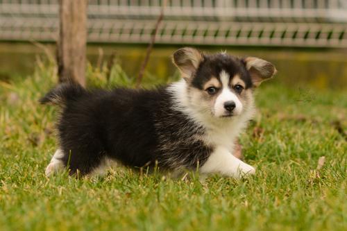 27160350 6b6885ca9a69eaf06e4d9390b32c03be xl