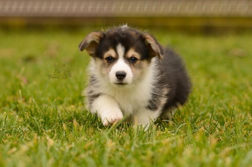 27160352 4b0be6438cd32590f3094e3e3f538c0d xl