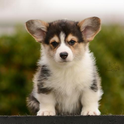 27162496 7543778ceaacaaaaba47851b6bea119b xl