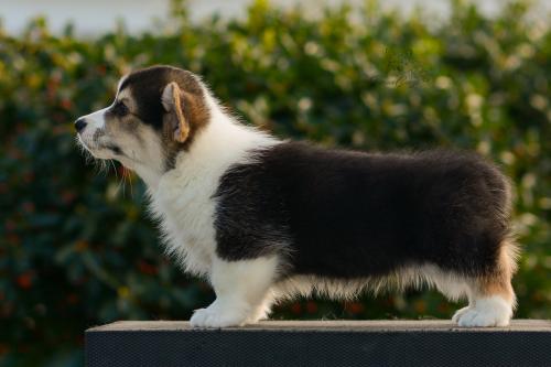 27165484 753c3873cc218df068a7cab70d030829 xl