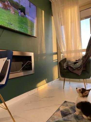 27167298 6ab7f23b6113d027fac97bc290a5d054 xl