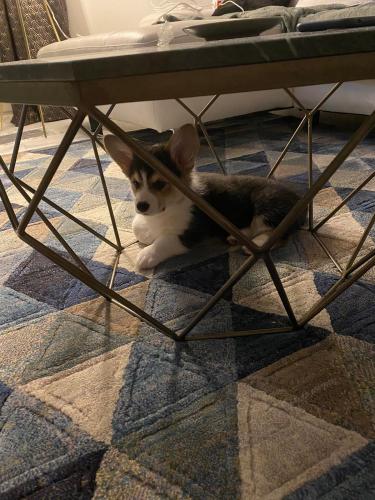 27167302 1b58d488140004ec78033eec2b40167c xl