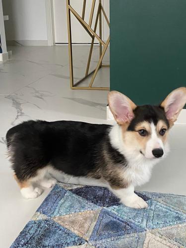 27176348 73b19875ab8f176c2242890d31eda553 xl