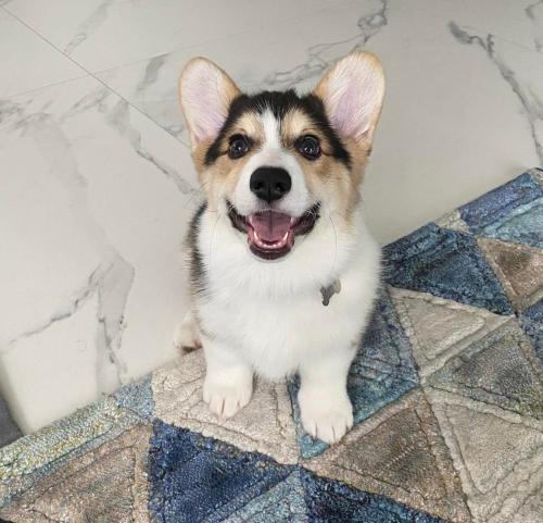 27176350 7c7099f051005f49af008fa398b7b712 xl