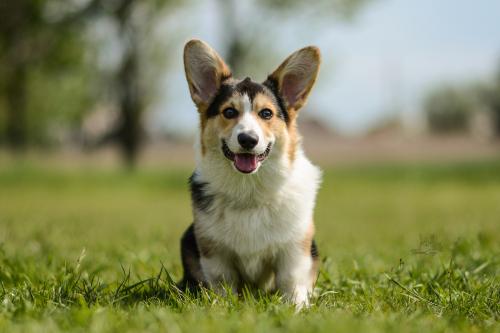 27191850 9ffc2f27547c28be4e9ee7757a1e0517 xl