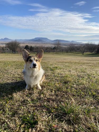 27269264 b9568ff4533bf81aa57ef4a822fc4b4f xl