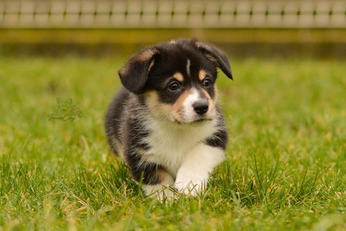 27160284 2aaedb19e770a4fd19475bc648e2b152 xl