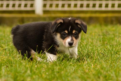 27160286 648978001334edebbafda3faf9c9b02e xl