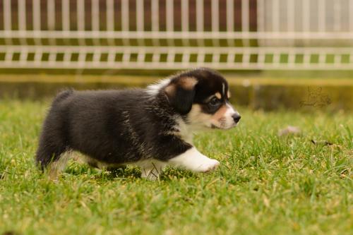 27160288 ac74acd717fb673df0f31a83fca56786 xl